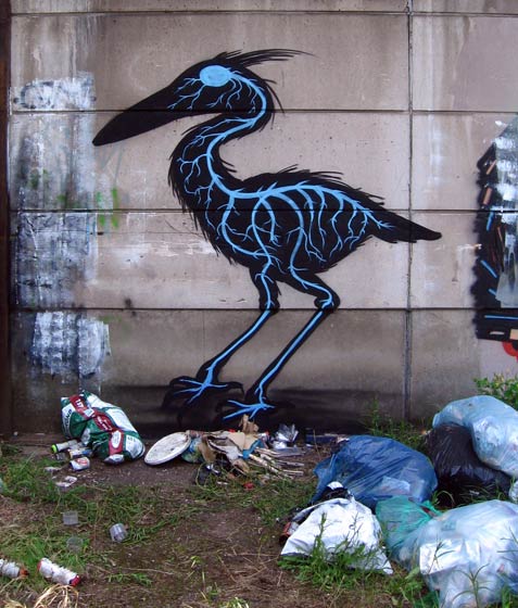 roa | bird | belgium
