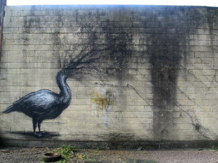 roa | bird | belgium