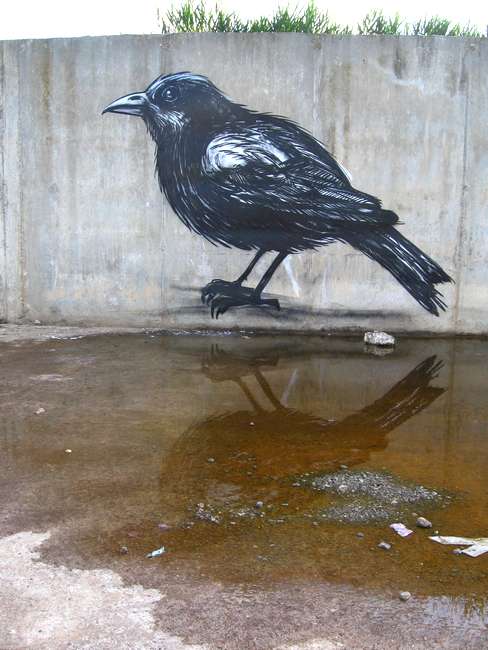 roa | bird | barcelona