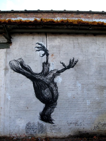 roa | bird | belgium