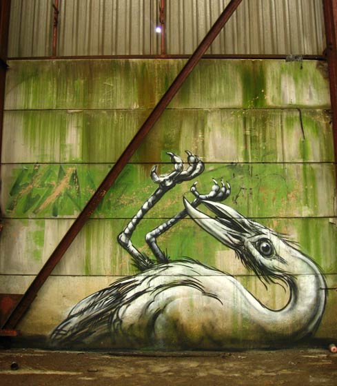 roa | bird | belgium