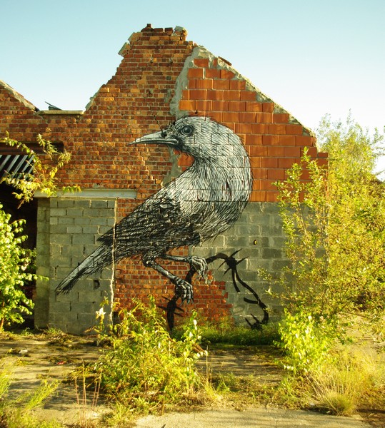 roa | bird | gent | belgium