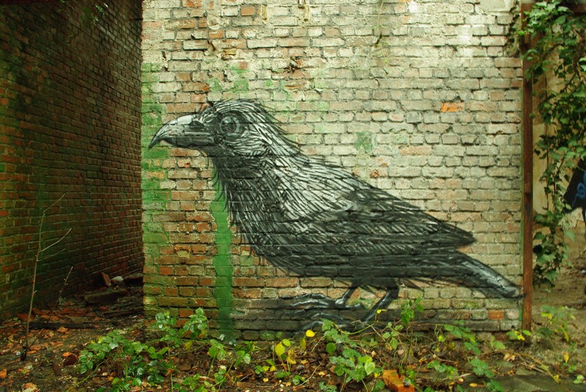 roa | bird | gent | belgium