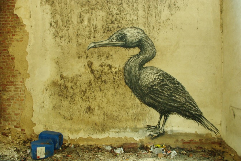roa | bird | gent | belgium