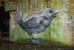roa | bird | gent | belgium (15 votes)