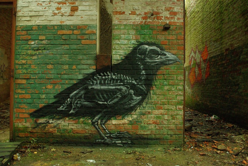 roa | bird | gent | belgium