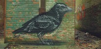 roa | bird | gent | belgium (18 votes)