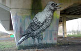 roa | bridge | belgium (18 votes)