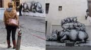 roa | bruxelles | pig | belgium (25 votes)