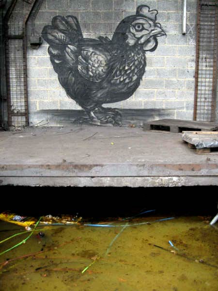 roa | chicken | belgium