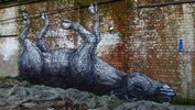 roa | gent | belgium (13 votes)