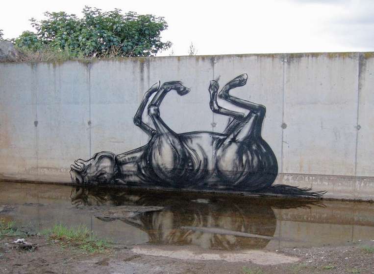 roa | horse | belgium