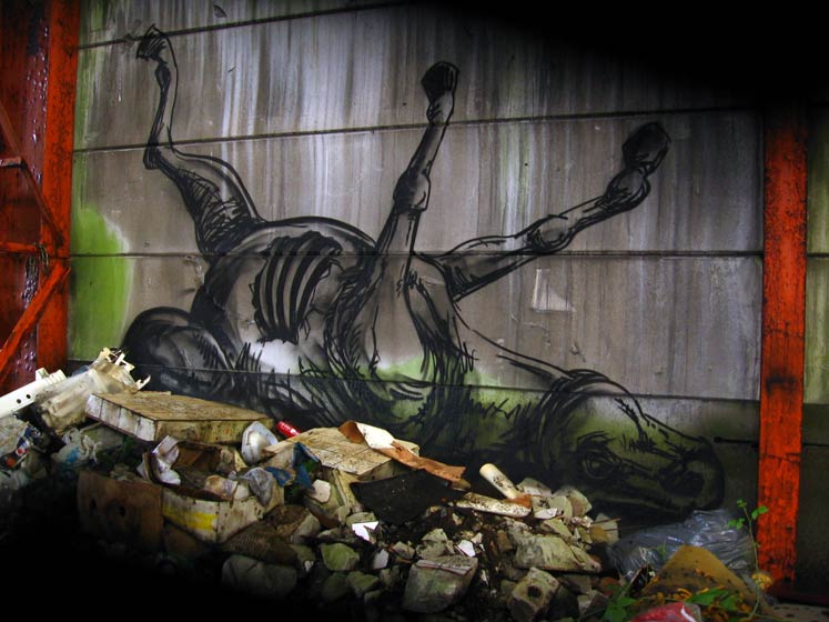 roa | horse | belgium