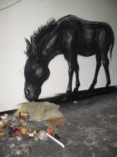 roa | horse | belgium