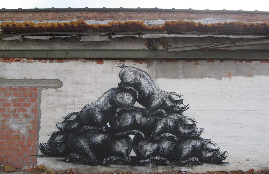 roa | pig | belgium