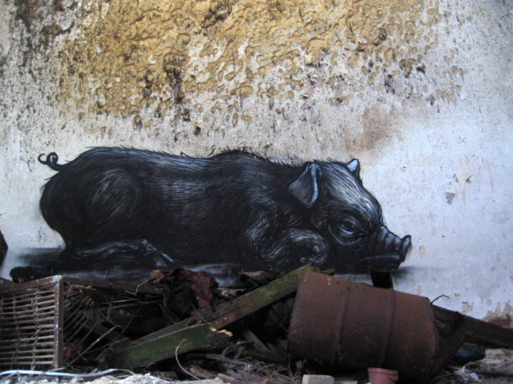 roa | pig | belgium