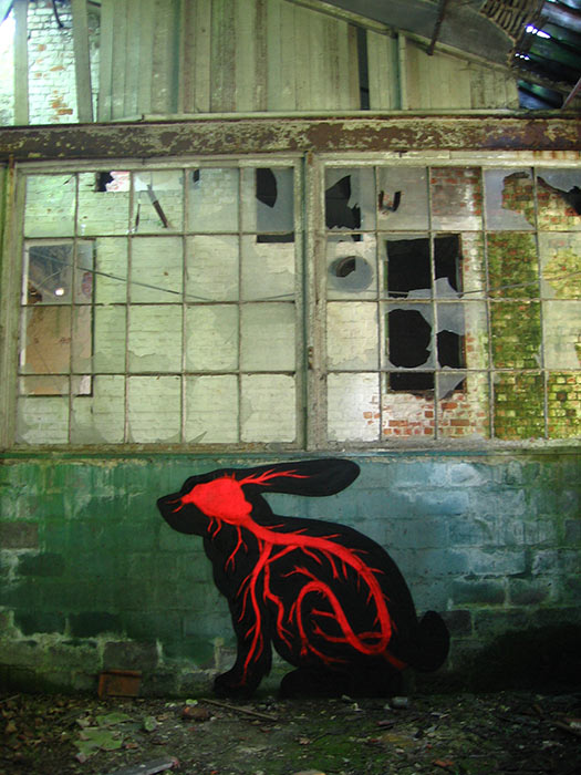 roa | rabbit | belgium