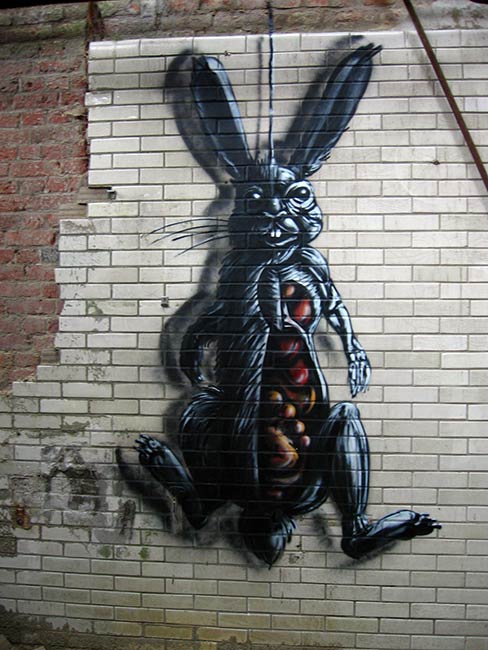 roa | rabbit | belgium