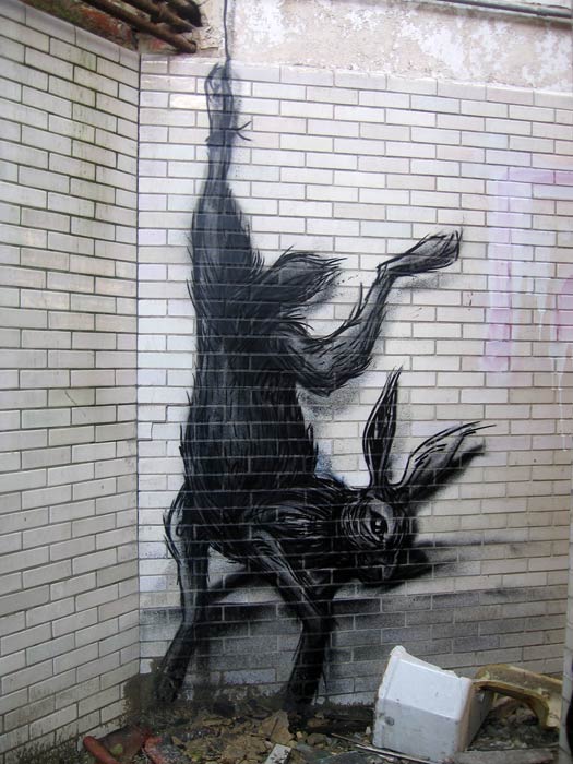 roa | rabbit | belgium