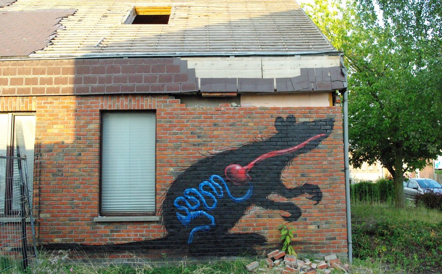 roa | rat | doel | belgium