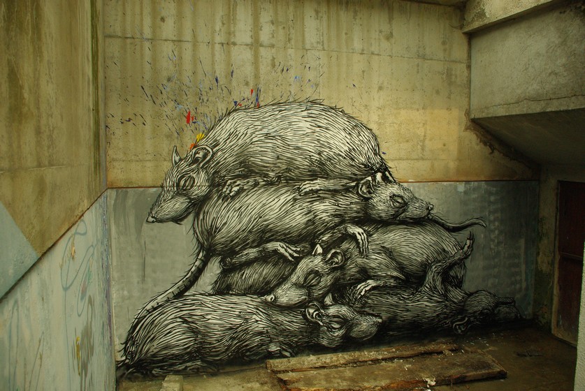 roa | rat | bruxelles | belgium