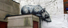 roa | rat | belgium (30 votes)