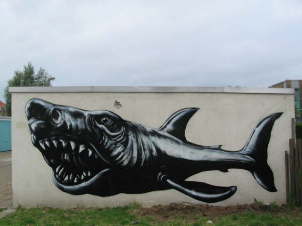 roa | shark | belgium