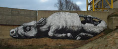 roa | gent | belgium (30 votes)
