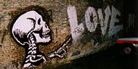 dzia | skull | antwerpen | belgium (17 votes)