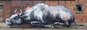 roa | doel | toro | belgium (14 votes)