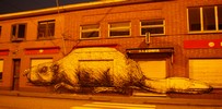 roa | doel | night | belgium (25 votes)