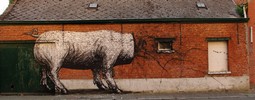 roa | pig | doel | belgium (28 votes)