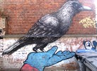 roa | resto | bue | bird | hand | belgium (15 votes)