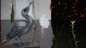 roa | bird | gent | belgium (13 votes)