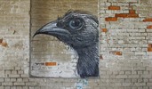 roa | bird | gent | belgium (16 votes)