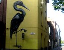 roa | gent | bird | belgium (19 votes)