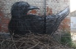 roa | gent | bird | belgium (12 votes)