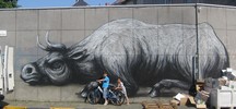 roa | gent | belgium (18 votes)
