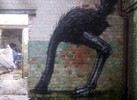 roa | gent | belgium (9 votes)