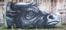 roa | gent | belgium (24 votes)
