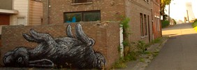 roa | rabbit | doel | belgium (15 votes)