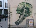 bonom | bruxelles | belgium (3 votes)