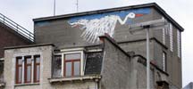 bonom | bruxelles | bird | roof | belgium (5 votes)