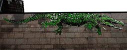 bonom | crocodile | bruxelles | belgium (31 votes)