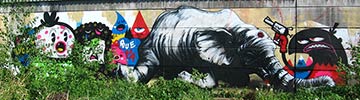 bue | roa | elephant | belgium (22 votes)