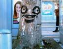 bue | tree | belgium | contextual-face (7 votes)