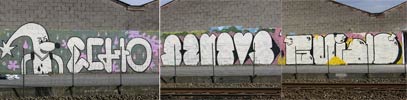 echo | santos | guido | gmcrew | gent | belgium (1 vote)