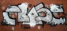 erase | bruxelles | redbricks | belgium (13 votes)