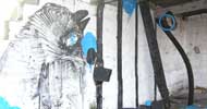 flor | eddymerx | gmcrew | belgium (3 votes)