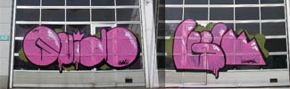 guido | gmcrew | pink | belgium (2 votes)